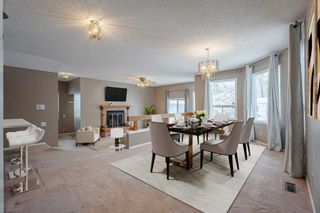Photo 12: 2123 24 Avenue NW in Calgary: Banff Trail Detached for sale : MLS®# A2086439