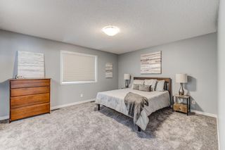 Photo 14: 167 Skyview Shores Crescent NE in Calgary: Skyview Ranch Detached for sale : MLS®# A2019286