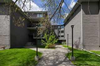 Photo 2: 104 819 4A Street NE in Calgary: Renfrew Apartment for sale : MLS®# A2011293