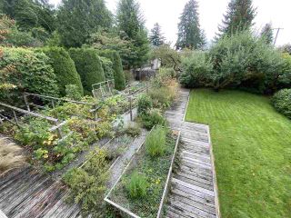 Photo 11: 3576 W 35TH AVENUE in Vancouver: Dunbar House for sale (Vancouver West)  : MLS®# R2502776