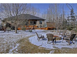 Photo 31: 36 Silvertip Gate: Rural Foothills M.D. House for sale : MLS®# C4102875
