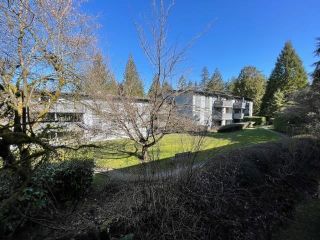 Photo 6: 148 200 WESTHILL Place in Port Moody: College Park PM Condo for sale in "Westhill Place" : MLS®# R2764033