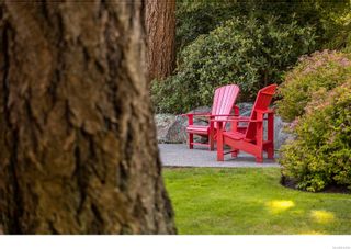 Photo 29: 2226 Arbutus Rd in Saanich: SE Arbutus House for sale (Saanich East)  : MLS®# 912789