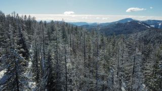 Photo 16: DL 801 HIGHWAY 3B in Rossland: Vacant Land for sale : MLS®# 2474556