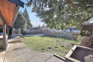 Photo 24: 3565 OLD CLAYBURN Road in Abbotsford: Abbotsford East House for sale : MLS®# R2800258