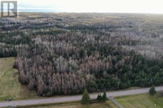 Photo 4: Cape Bear Road in Murray Harbour: Vacant Land for sale : MLS®# 202218197