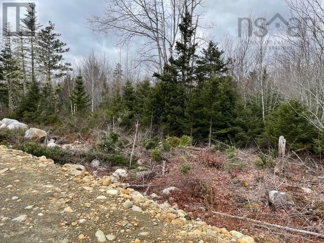 Main Photo: 14 Golden Horizon Drive in South West Port Mouton: Vacant Land for sale : MLS®# 202325607