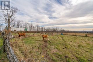 Photo 36: 1086 HAYES LINE in Kawartha Lakes: Agriculture for sale : MLS®# X7306844