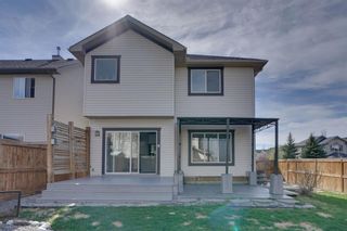 Photo 27: 8 Cranwell Green SE in Calgary: Cranston Detached for sale : MLS®# A2130880