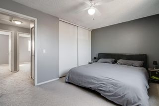 Photo 16: 119 Erin Dale Place SE in Calgary: Erin Woods Detached for sale : MLS®# A1038168
