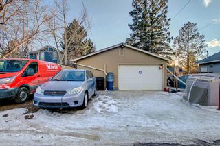Photo 47: 4614 70 Street in Calgary: Bowness Detached for sale : MLS®# A1193841