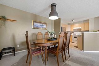 Photo 13: 2316 2600 66 Street NE in Calgary: Pineridge Apartment for sale : MLS®# A2122941
