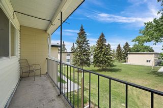 Photo 14: 158 2211 19 Street NE in Calgary: Vista Heights Row/Townhouse for sale : MLS®# A2051140