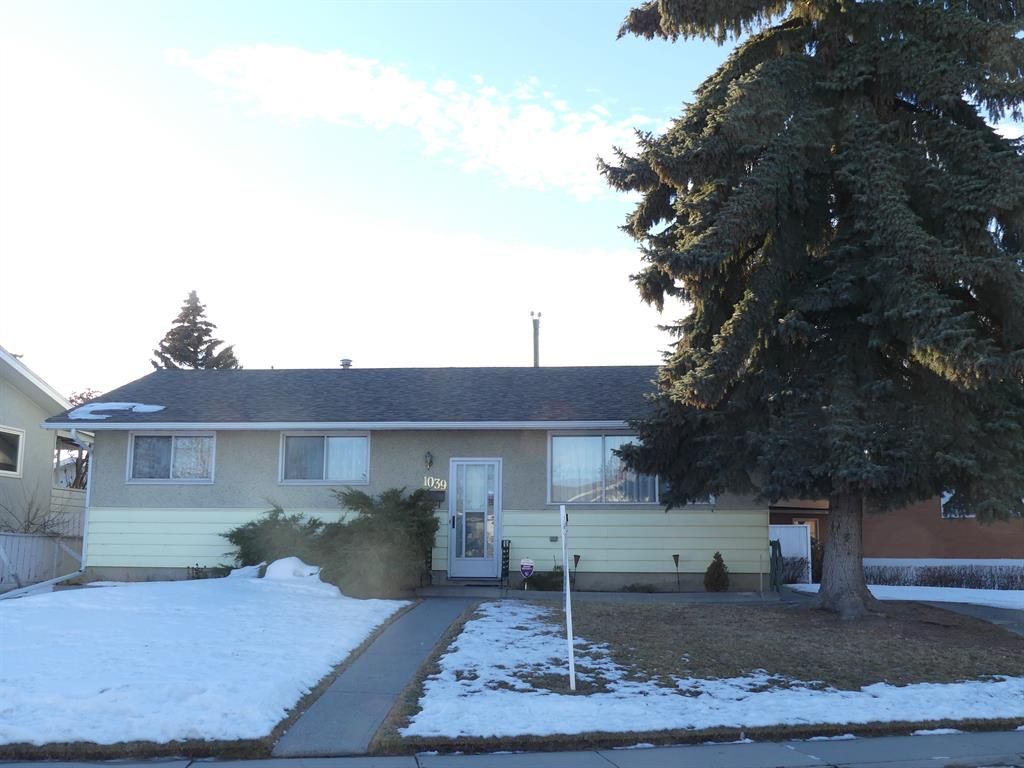Main Photo: 1039 MOTHERWELL Road NE in Calgary: Mayland Heights Detached for sale : MLS®# A2007082