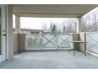 Photo 13: # 205 2551 PARKVIEW LN in Port Coquitlam: Central Pt Coquitlam Condo for sale : MLS®# V1040597