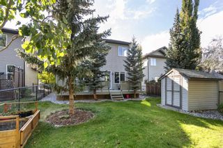 Photo 37: 28 Cougar Ridge Link SW in Calgary: Cougar Ridge Detached for sale : MLS®# A2079092