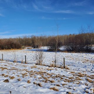 Photo 12: 254042 TWP 460: Rural Wetaskiwin County Manufactured Home for sale : MLS®# E4372931