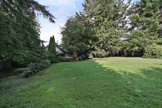 Photo 12: 2602 CAMPBELL Avenue in Abbotsford: Central Abbotsford House for sale : MLS®# R2524225