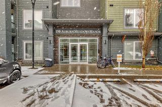 Main Photo: 310 150 Auburn Meadows Manor SE in Calgary: Auburn Bay Apartment for sale : MLS®# A2121866