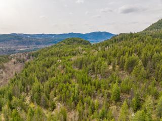 Photo 31: 2700 14TH AVENUE in Castlegar: Vacant Land for sale : MLS®# 2468700