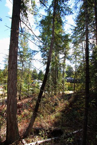 Photo 13: Lot 43 Centennial Drive in Blind Bay: Land Only for sale : MLS®# 10241144