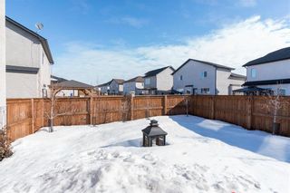 Photo 36: 39 Murray Rougeau Crescent in Winnipeg: Canterbury Park Residential for sale (3M)  : MLS®# 202205711