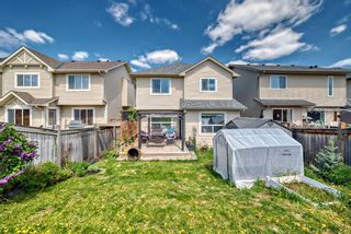Photo 46: 559 Auburn Bay Heights SE in Calgary: Auburn Bay Detached for sale : MLS®# A2139121