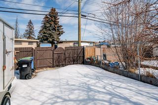 Photo 29: 920 Pensdale Crescent SE in Calgary: Penbrooke Meadows Detached for sale : MLS®# A2034836