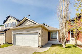 Photo 1: 25 Martha's Green NE in Calgary: Martindale Detached for sale : MLS®# A2129455