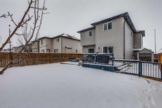 Photo 28: 2834 Chinook Winds Drive SW: Airdrie Detached for sale : MLS®# A2117036