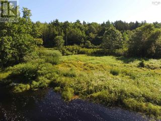 Photo 6: Lot Highway 10|PID#60721289 in Pinehurst: Vacant Land for sale : MLS®# 202319807