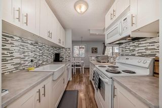 Photo 7: 2 645 Meredith Road NE in Calgary: Bridgeland/Riverside Apartment for sale : MLS®# A2130538