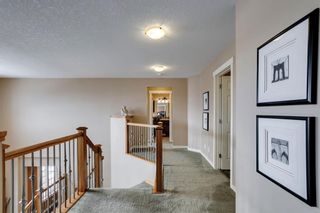 Photo 19: 8232 9 Avenue SW in Calgary: West Springs Detached for sale : MLS®# A2022941