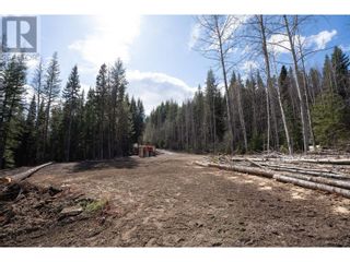 Photo 10: 4812 CRANBROOK HILL ROAD in Prince George: Vacant Land for sale : MLS®# R2848151