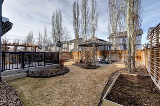 Photo 42: 39 Silverado Skies Manor SW in Calgary: Silverado Detached for sale : MLS®# A2122875