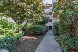 Photo 9: 414 1363 CLYDE Avenue in West Vancouver: Ambleside Condo for sale in "PLACE FOURTEEN" : MLS®# R2504300