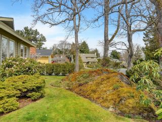 Photo 20: 4042 Hopesmore Dr in Saanich: SE Mt Doug House for sale (Saanich East)  : MLS®# 929321