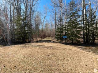 Photo 1: 54 274022 TWP RD 480: Rural Wetaskiwin County Vacant Lot/Land for sale : MLS®# E4385776