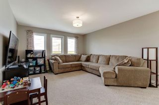 Photo 16: 178 REUNION Green NW: Airdrie Detached for sale : MLS®# C4300693