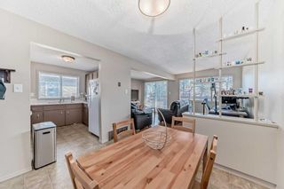 Photo 9: 1709 50 Street SE in Calgary: Forest Lawn Semi Detached (Half Duplex) for sale : MLS®# A2115014