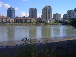 Photo 47: 217 83 STAR Crescent in New_Westminster: Queensborough Condo for sale in "RESIDENCE BY THE RIVER" (New Westminster)  : MLS®# V728524