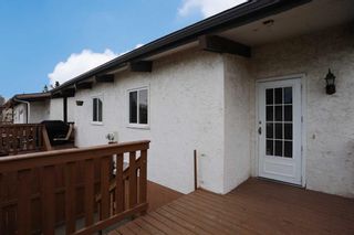 Photo 14: 241 Pinemont Road NE in Calgary: Pineridge Semi Detached (Half Duplex) for sale : MLS®# A2122804