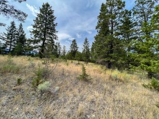 Photo 2: Lot 11 BELLA VISTA BOULEVARD in Fairmont Hot Springs: Vacant Land for sale : MLS®# 2466823