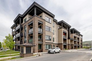Photo 38: 1209 80 Greenbriar Place NW in Calgary: Greenwood/Greenbriar Apartment for sale : MLS®# A2052988