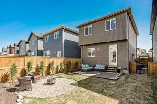 Photo 23: 59 Wolf Hollow Way SE in Calgary: C-281 Detached for sale : MLS®# A1211965