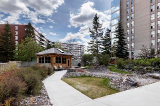 Photo 31: 307 4554 Valiant Drive NW in Calgary: Varsity Apartment for sale : MLS®# A2047540