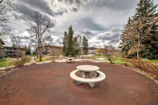 Photo 24: 92E 231 Heritage Drive SE in Calgary: Acadia Apartment for sale : MLS®# A2128659