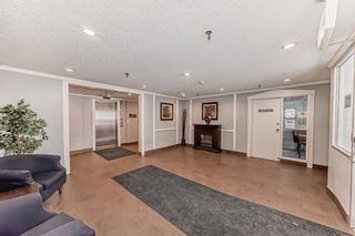 Photo 20: 305 1735 11 Avenue SW in Calgary: Sunalta Apartment for sale : MLS®# A2124269