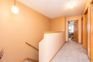 Photo 19: 113 Coral Springs Mews NE in Calgary: Coral Springs Detached for sale : MLS®# A2051766