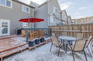 Photo 29: 79 Masters Manor SE in Calgary: Mahogany Detached for sale : MLS®# A1191039